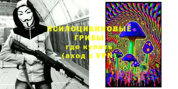 хмурый Алексеевка