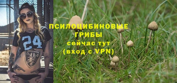 амф Алексин