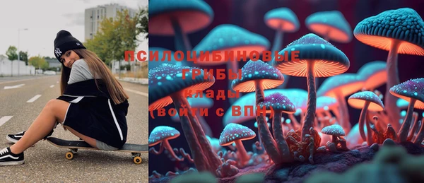 МДПВ Алзамай