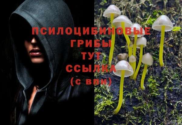 хмурый Алексеевка