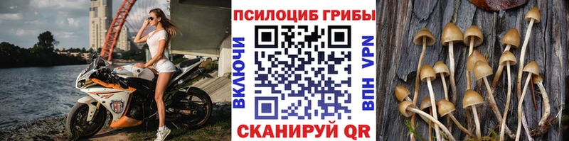 Галлюциногенные грибы Cubensis  Южно-Сухокумск 